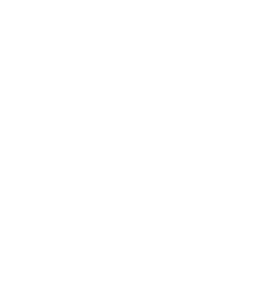 https://paradisedental.viziglobal.com/