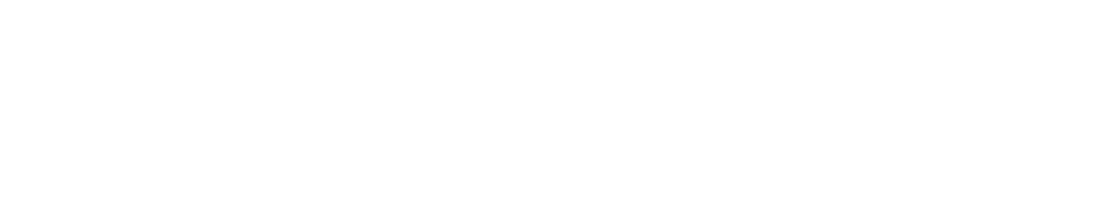 https://paradisedental.viziglobal.com/